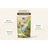 Diamond V Levure Prébiotique Cheval