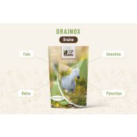 Drainage Foie Cheval