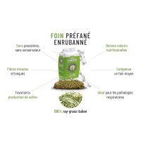 Foin enrubanné cheval