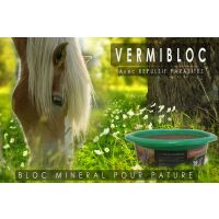 VERMIFUGE NATUREL CHEVAL en bloc à lécher VERMIBLOC