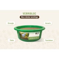 Vermifuge Naturel Cheval en bloc à lécher