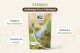 Probiotique Cheval