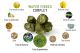 Aliment complet pour chevaux de sport