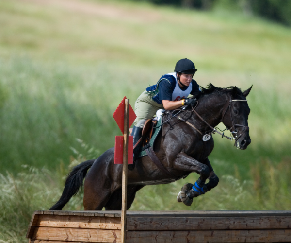 nourrir cheval concours