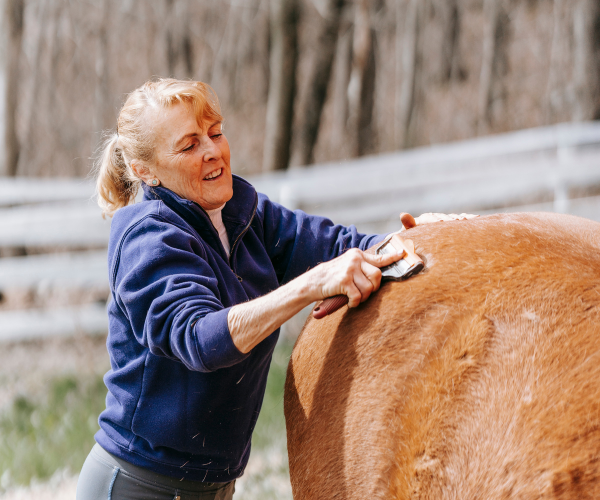 gerer changement saison cheval