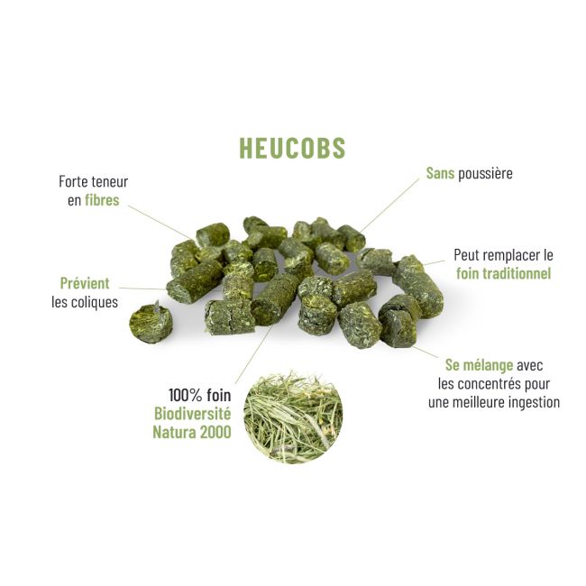 foin de prairie heucobs