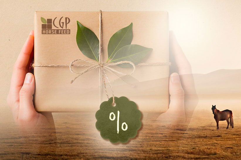 Programme de fidélité