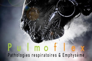 Pathologies Respiratoires