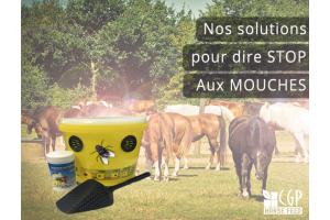 Pour "Pros" et "Particuliers".. 2 pièges pour dire STOP aux mouches !