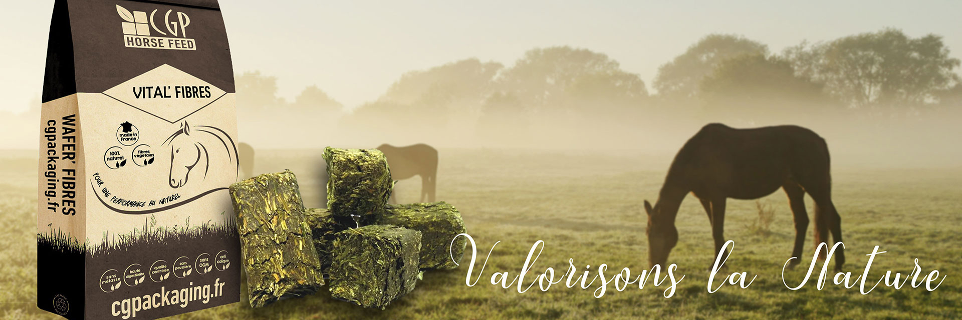 Alimentation cheval Alimentation cheval