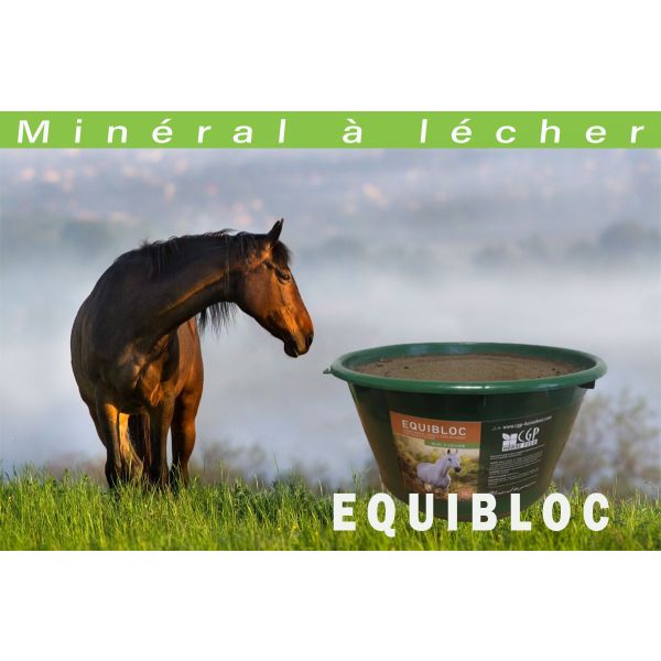 Pierre à Lécher Minérale Imima BIOTIN+ - 4 X 3kg Pour Chevaux, Moutons, Chèvres - Santé Sabots Et Pelage