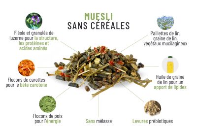 Muesli sans céréales - AB Nutrition