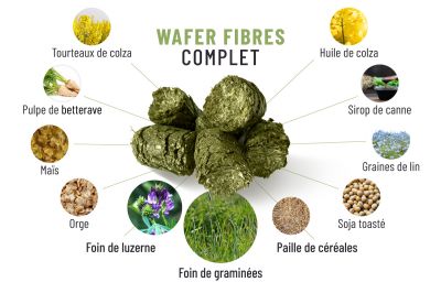 Copeaux de Fibre de Bois Naturel - 30 gr : 3,20 €