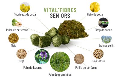 Le foin : l'aliment essentiel pour la santé et le bien-être du