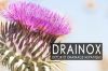 DRAINANT HEPATO-RENAL DRAINOX
