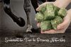 FOIN POUR CHEVAUX WAFER'FIBRES EXTRA LIGHT