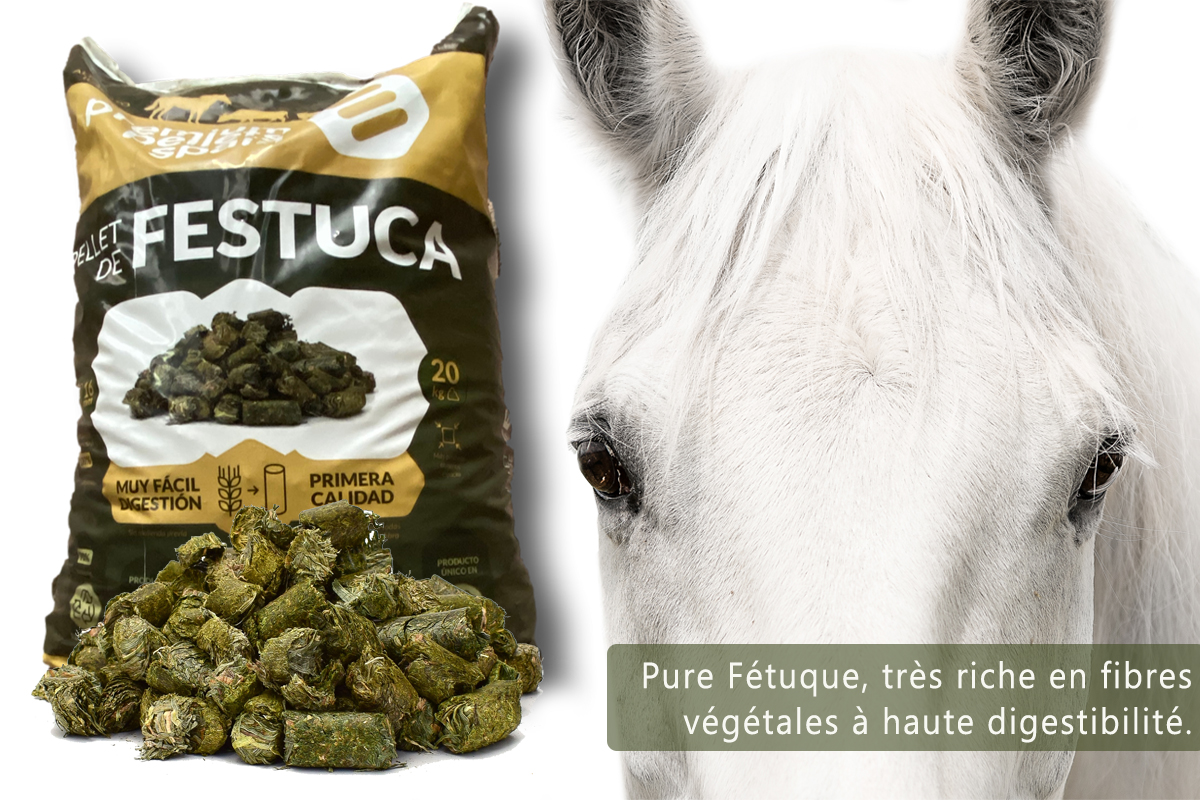 Nourrir votre cheval avec des granulés de foin