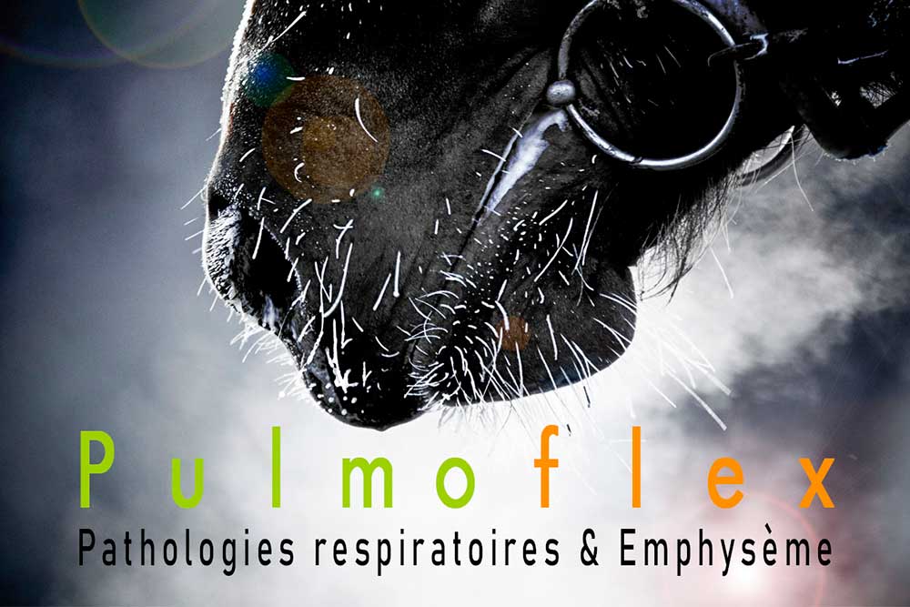 Pathologies Respiratoires