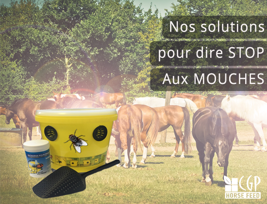 Pour "Pros" et "Particuliers".. 2 pièges pour dire STOP aux mouches !