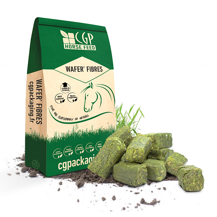 ALFACUBES CONTRE L'ULCERE GASTRIQUE